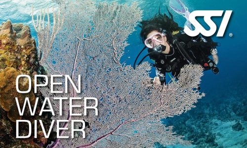 OPEN WATER DIVER (SSI Courses)