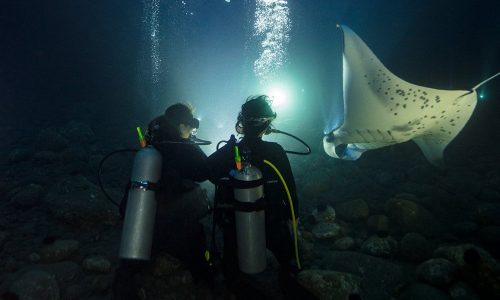 course thumbnail