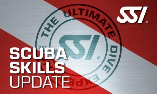 course thumbnail