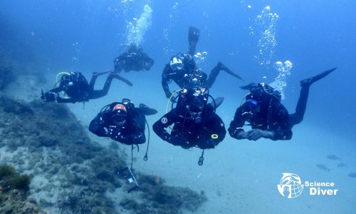 Introduction to Scientific Diving